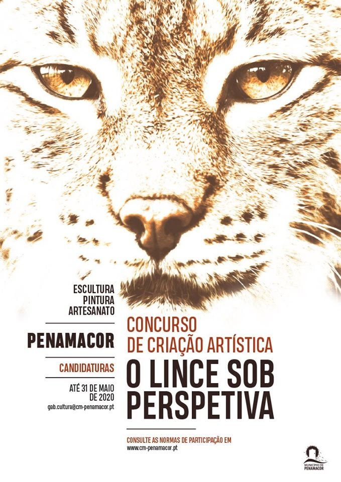 Penamacor lança o “Concurso de Criação Artística - O Lince sob Perspetiva”