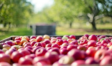 “Agricultura Con(s)ciência” é a resposta em tempos de crise