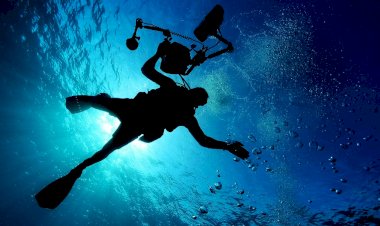 Setúbal avança para a criação de um Centro Municipal de Atividades Subaquáticas