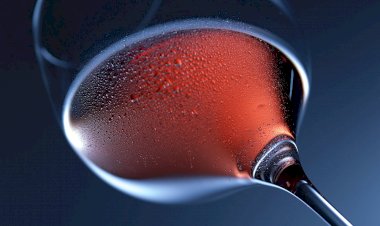 Tecnologia e viticultura, uma dupla com futuro