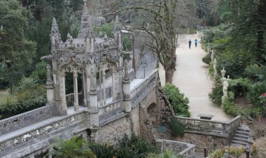 Projecto ALTITUD3 decorre na Serra de Sintra