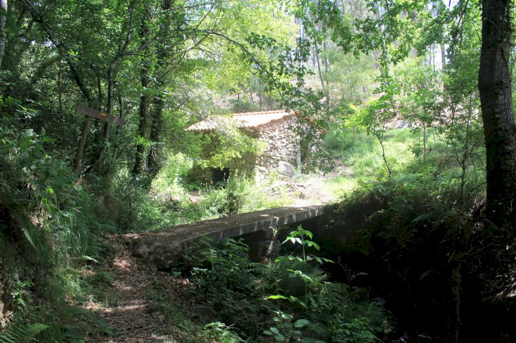 Pelos Trilhos de Portugal-A Rota da Ribeira de Várzea, Viseu