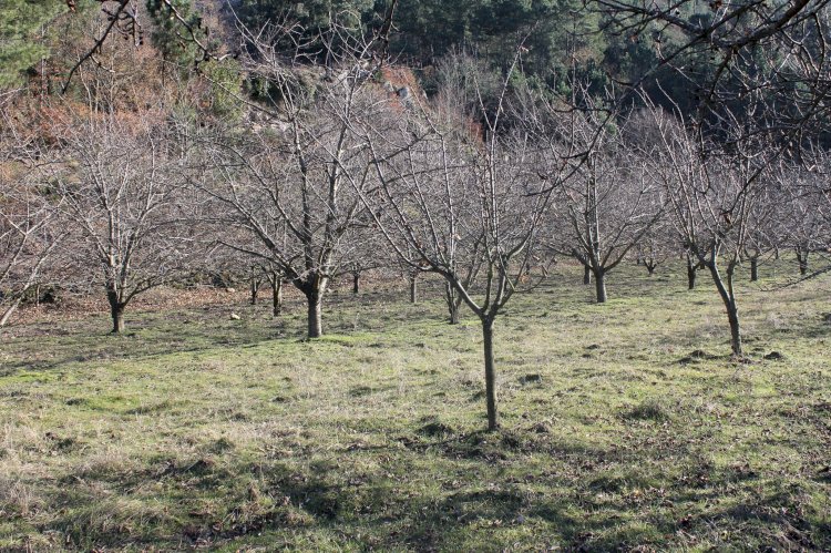 Pelos Trilhos de Portugal-Percurso do Vale do Cabrum, Resende