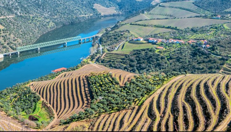 Pelos Trilhos de Portugal-Rota do Castanheiro, São João da Pesqueira