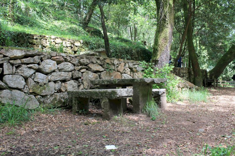 Pelos Trilhos de Portugal-Trilho dos Moinhos, Sever de Vouga