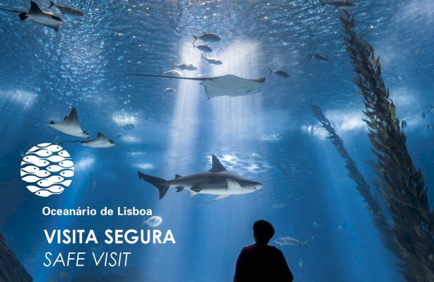 Oceanário de Lisboa reabre portas ao público