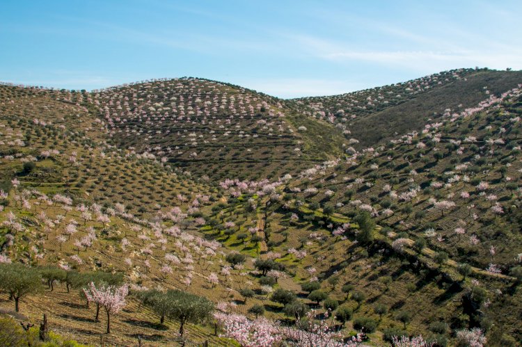 A Grande Rota do Vale do Côa