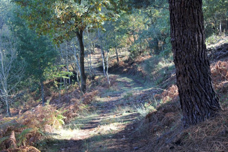 Pelos Trilhos de Portugal-Percurso Pedestre do Vale da Ribeira de Loivos, Chaves