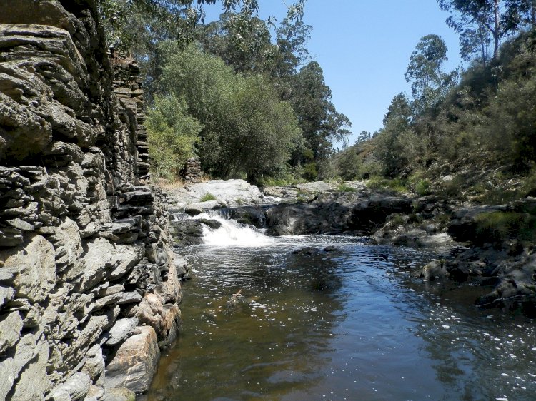Pelos Trilhos de Portugal-Corredor Ecológico, Valongo