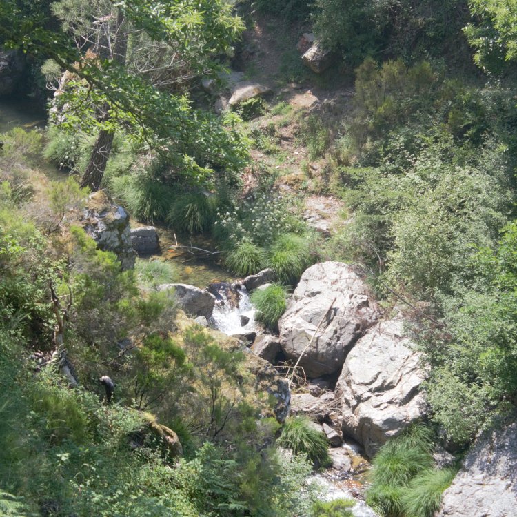 Pelos Trilhos de Portugal-Caminho do Xisto de Casal de S. Simão - Descida às Fragas, Figueiró dos Vinhos