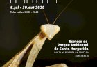 Insetos em Ordem  no Parque Ambiental de Santa Margarida