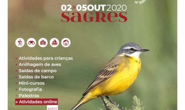 Festival de Observação de Aves & Atividades de Natureza, o maior evento de natureza do país está de volta a Sagres