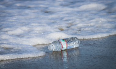 Vila do Porto alerta e sensibiliza a comunidade para a problemática do lixo na orla costeira
