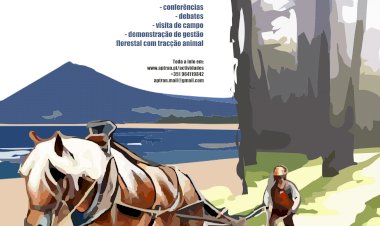 Caminha acolhe Jornadas sobre Gestão e Conservação de Áreas de Elevado Valor Natural