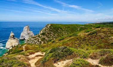 Autarquia aprova projeto para criação de Área Marinha Protegida em Sintra