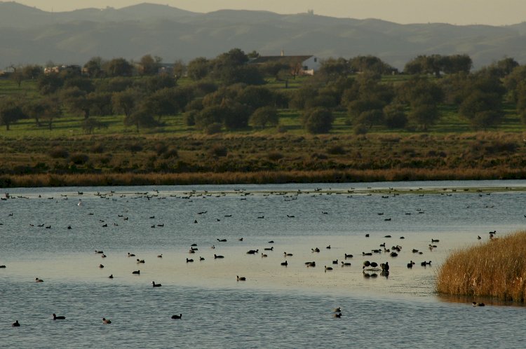 Pelos Trilhos de Portugal-Percurso das Salinas Tradicionais, Castro Marim