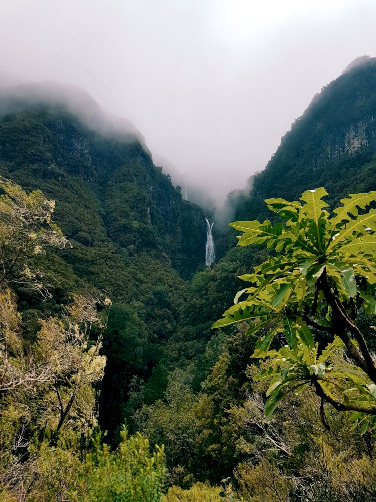 Pelos Trilhos de Portugal-Levada do Alecrim, Calheta, Madeira