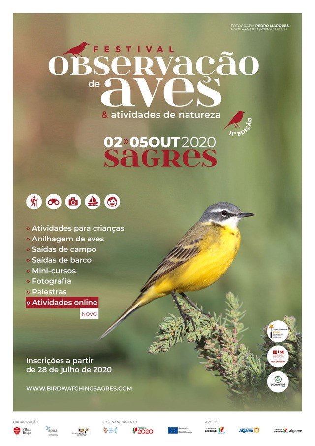 Festival de Observação de Aves & Atividades de Natureza, o maior evento de natureza do país está de volta a Sagres