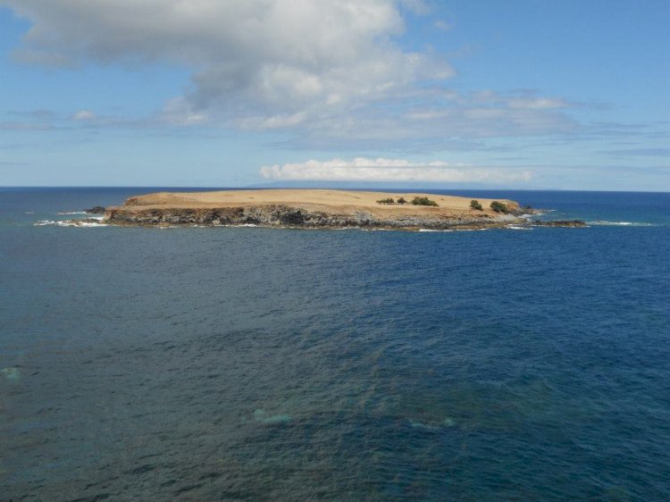 Pelos Trilhos de Portugal-Serra do Topo, Calheta