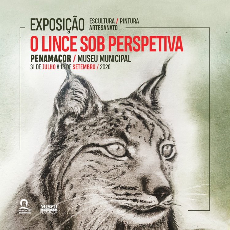 Exposição do “Concurso de Criação Artística - O Lince sob Perspectiva” inaugurada a 31 de Julho