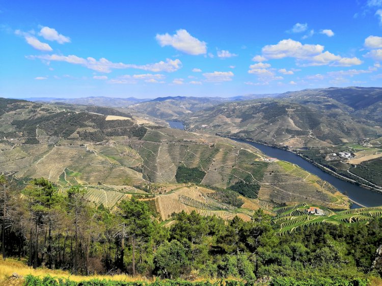 Olhar Portugal- Miradouro de São Leonardo de Galafura, Peso da Régua