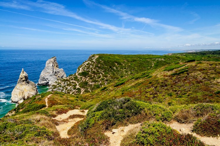 Autarquia aprova projeto para criação de Área Marinha Protegida em Sintra