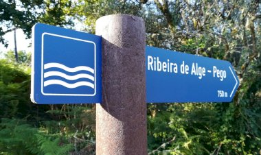 Novos trilhos pedestres em Figueiró dos Vinhos dinamizam território