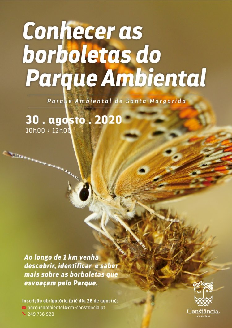 Venha "Conhecer as Borboletas" no Parque Ambiental de Santa Margarida