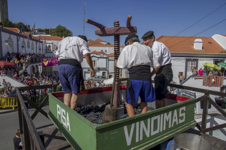 Programa Vindimas 2020 evoca festa emblemática de Palmela