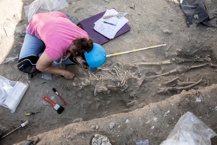 Castelo de Palmela: trabalhos arqueológicos desvendam antiga necrópole