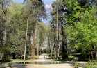 Parque das Termas de Vizela na rota dos jardins históricos