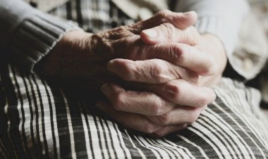 Jovens de Gaia garantem apoio domiciliário a idosos