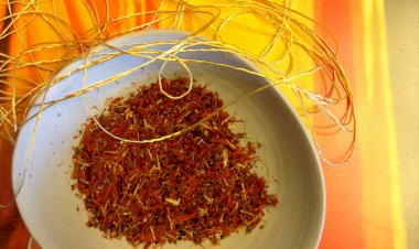 Um Outono artístico no Museu do Oriente