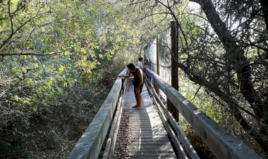 Projecto Sonotomia: preservar a memória sonora no litoral alentejano