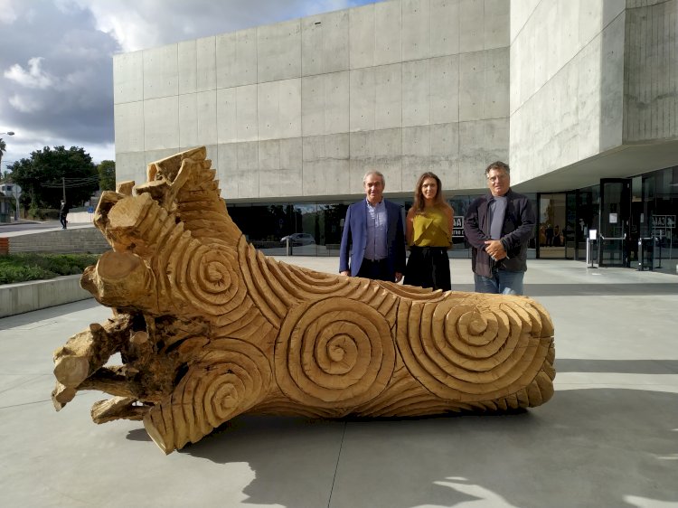 Cedro do Parque da Alta Vila de Águeda “renasce” como escultura