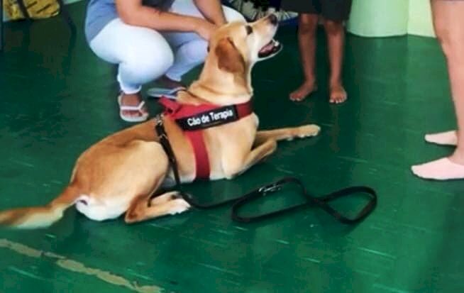 “Mind the Dog” um projeto inovador de Intervenções Assistidas por Animais que nasce em Castro Verde