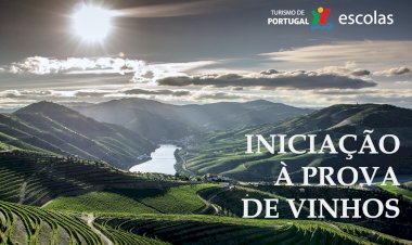 Turismo de Portugal lança curso de Iniciação à Prova de Vinhos, online e gratuito