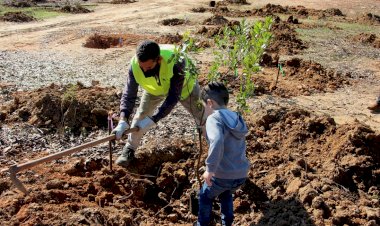 Empreendimento da Terras de Verdelago investe na florestação de espécies autóctones de Castro Marim