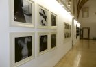 40 anos dos Encontros de Fotografia em exposição na Sala da Cidade dos Paços do Concelho de Coimbra
