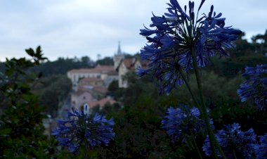 Sintra mantém entrada gratuita nos Museus Municipais