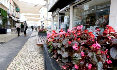 Alunos de arte expõem aguarelas e gravuras nas montras do centro histórico de Portimão
