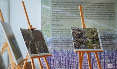 Núcleo Museológico de Favaios acolhe exposição sobre a Biodiversidade do Vale do Tua