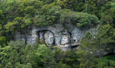 Leiria candidata Vale do Lapedo a Marca Europeia do Património