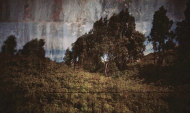 Exposição “Primeiras Impressões de uma Paisagem” na Solar