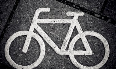 Aprovado Projecto de Execução de Ciclovia do Rio Lis até à foz