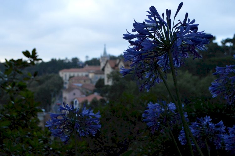 Sintra mantém entrada gratuita nos Museus Municipais