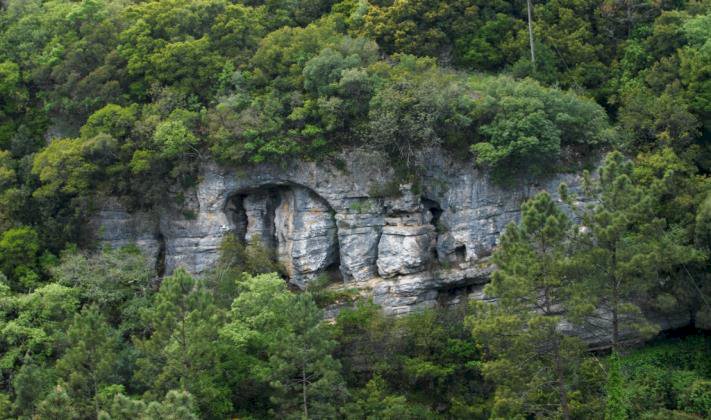 Leiria candidata Vale do Lapedo a Marca Europeia do Património