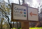 Caminho Minhoto Ribeiro recebe a Compostela