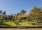 Serralves torna-se membro da Climate Change Alliance of Botanic Gardens
