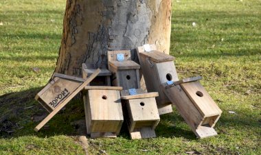Projeto NAPA – instalação de ninhos artificiais nos jardins de Torres Novas